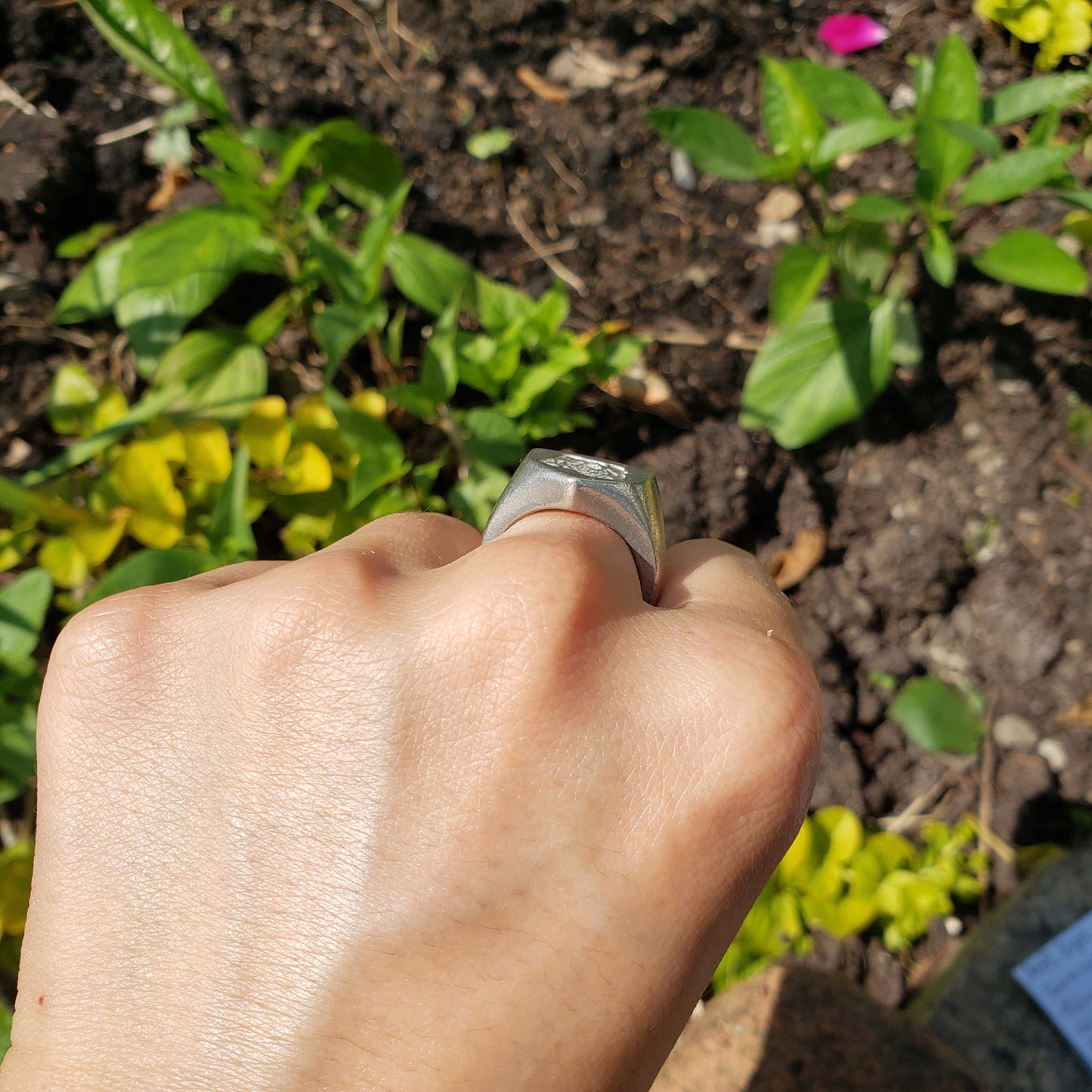 Cabbage wax seal signet ring