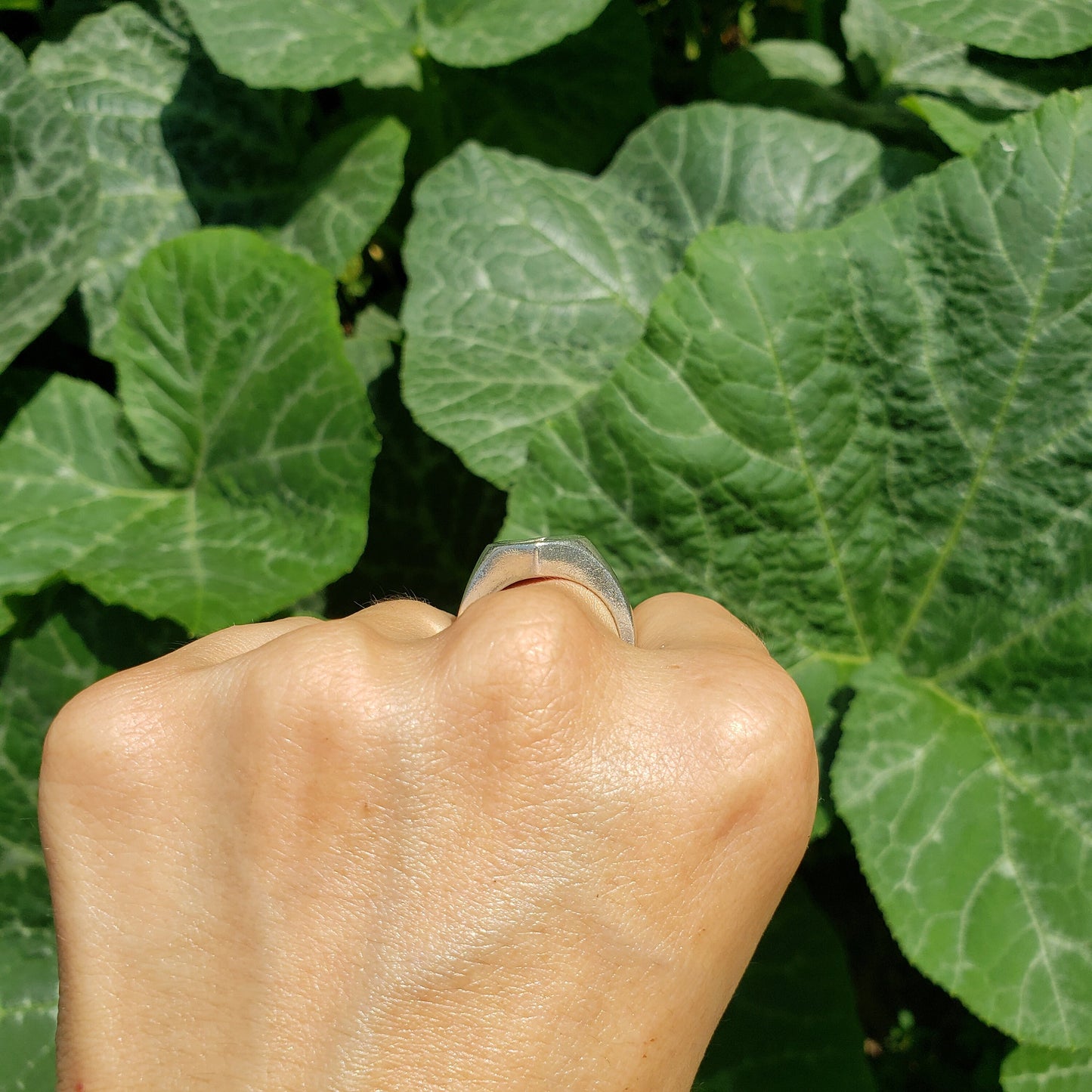 Fig wax seal signet ring