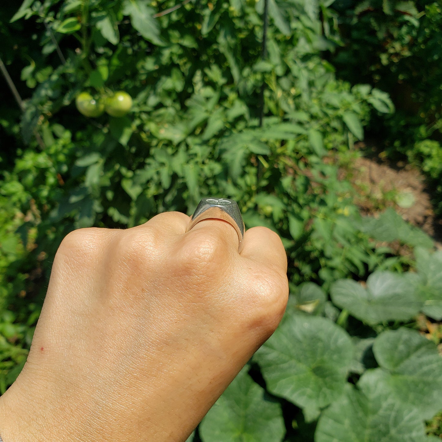 apple half wax seal signet ring