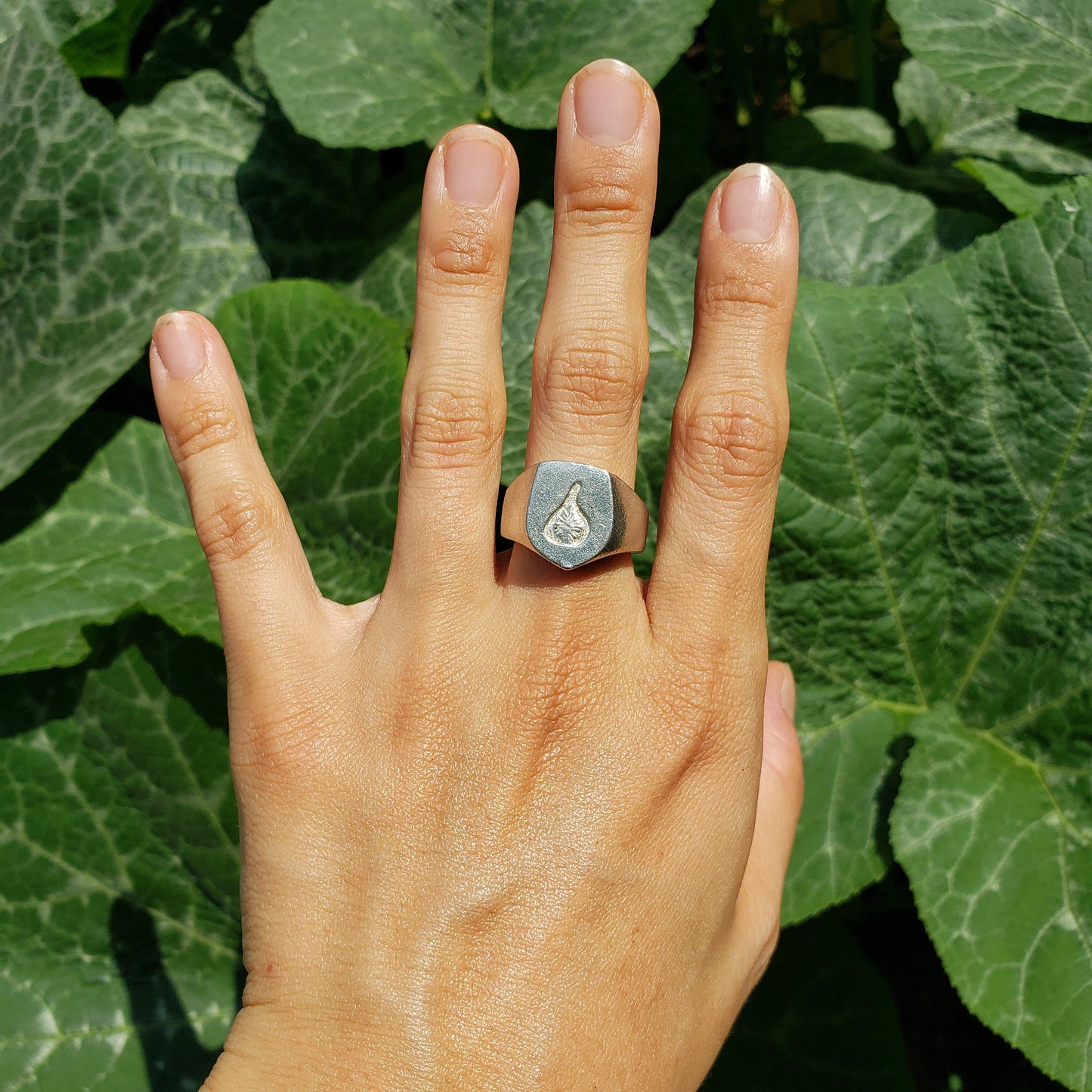Fig wax seal signet ring