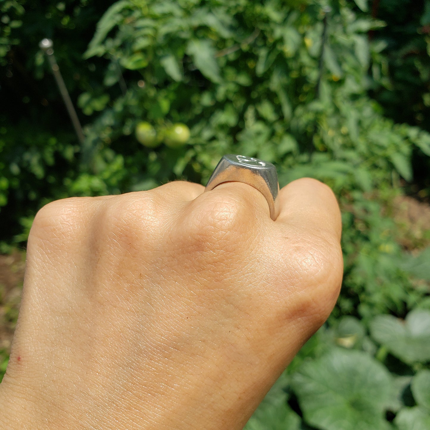 Stethoscope wax seal signet ring