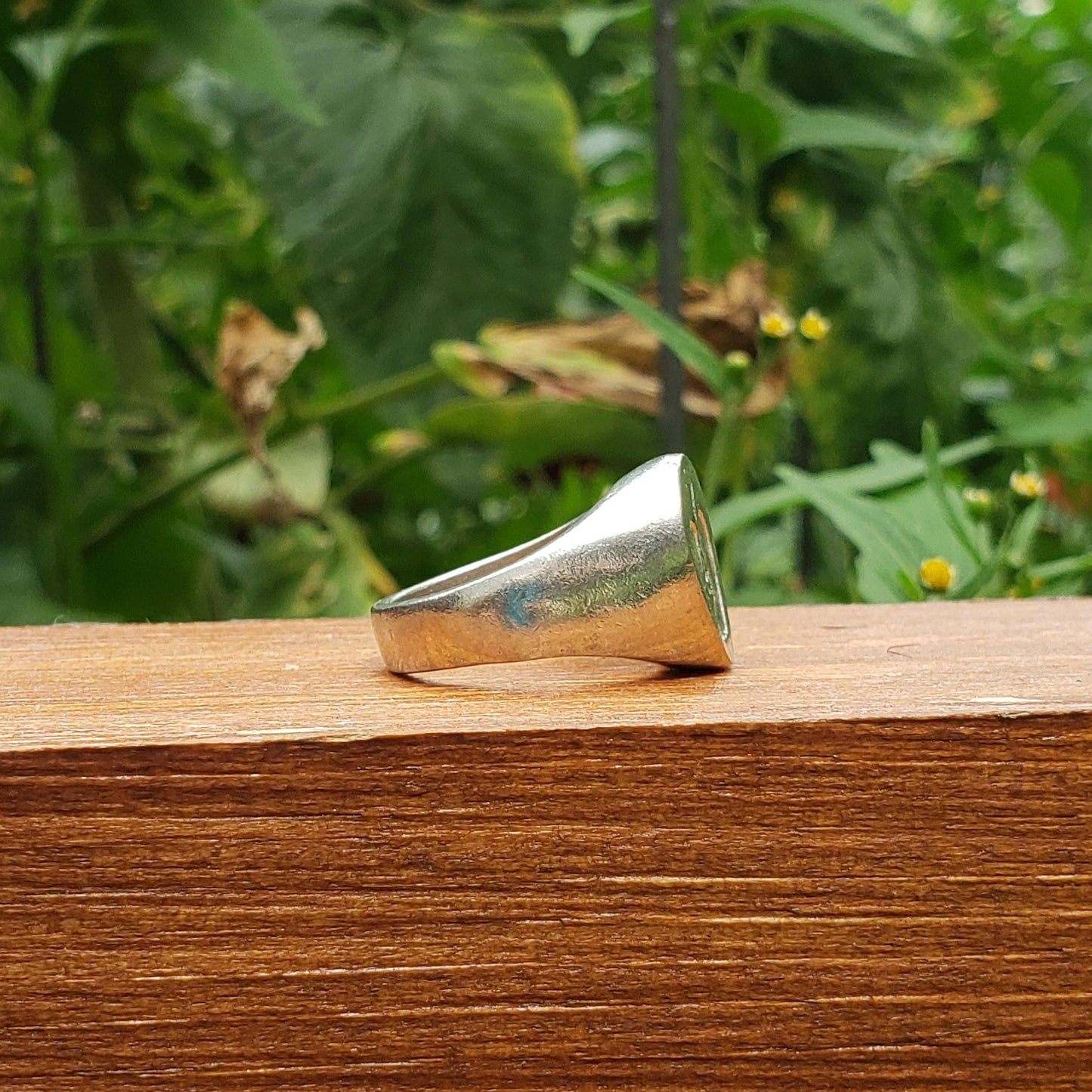 apple half wax seal signet ring