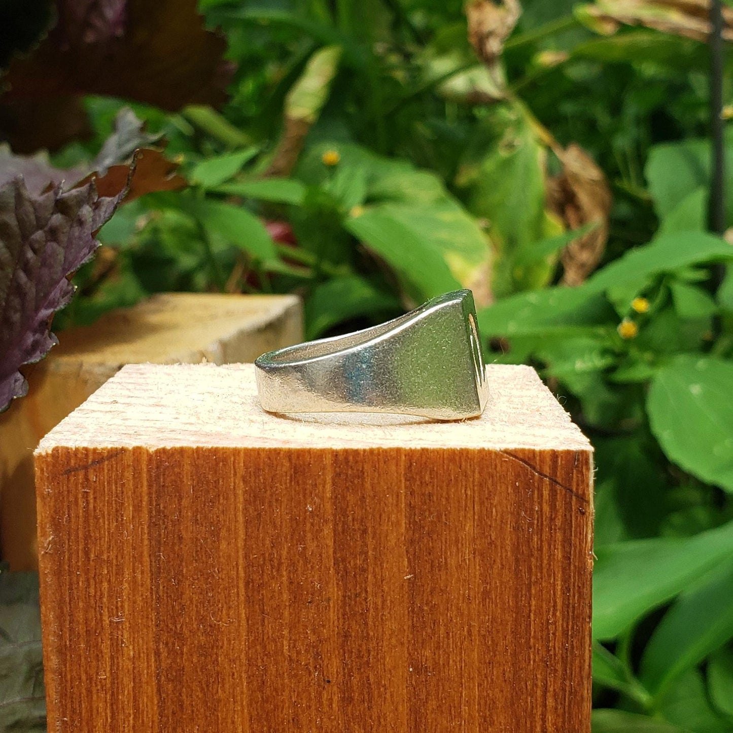 Horseshoe wax seal signet ring
