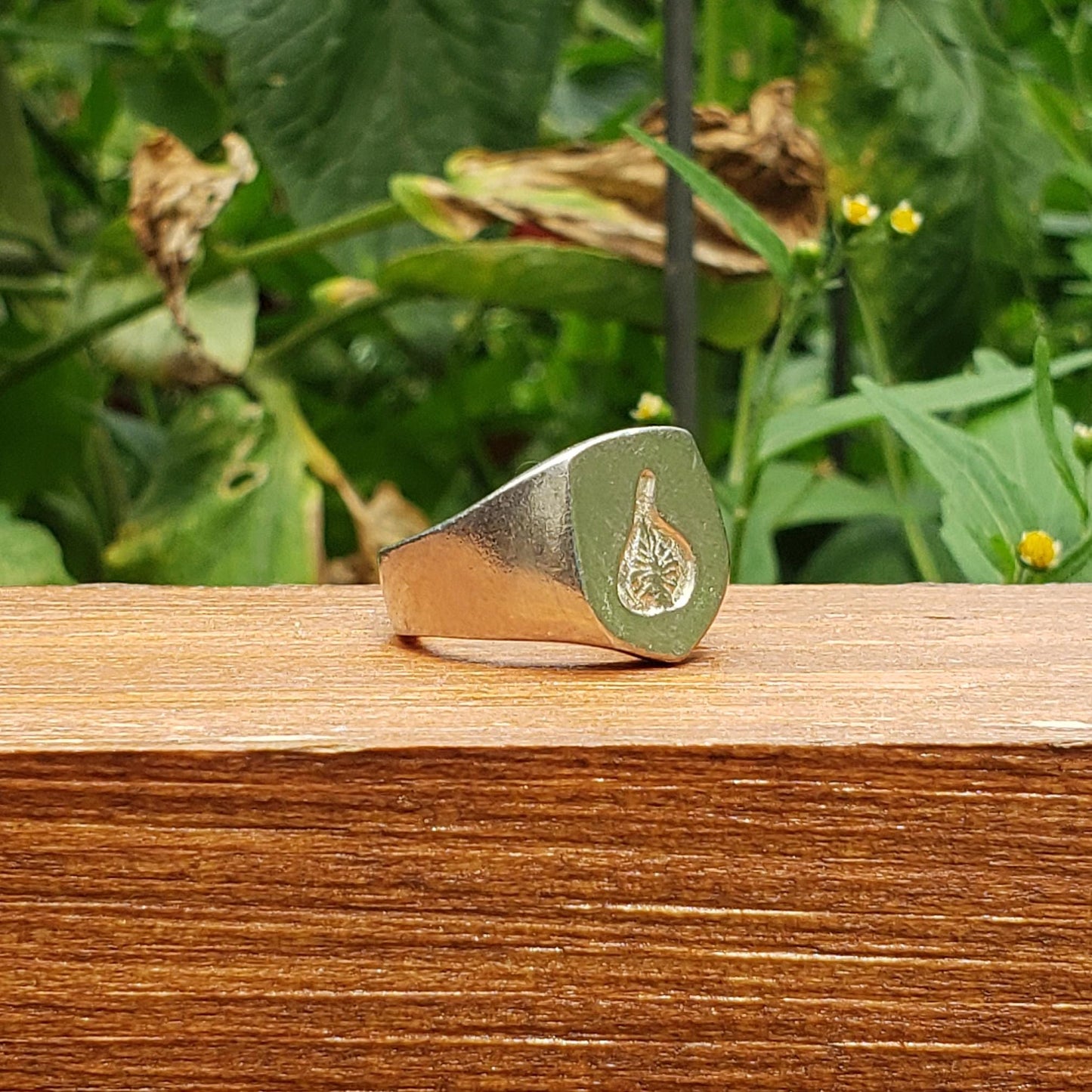 Fig wax seal signet ring
