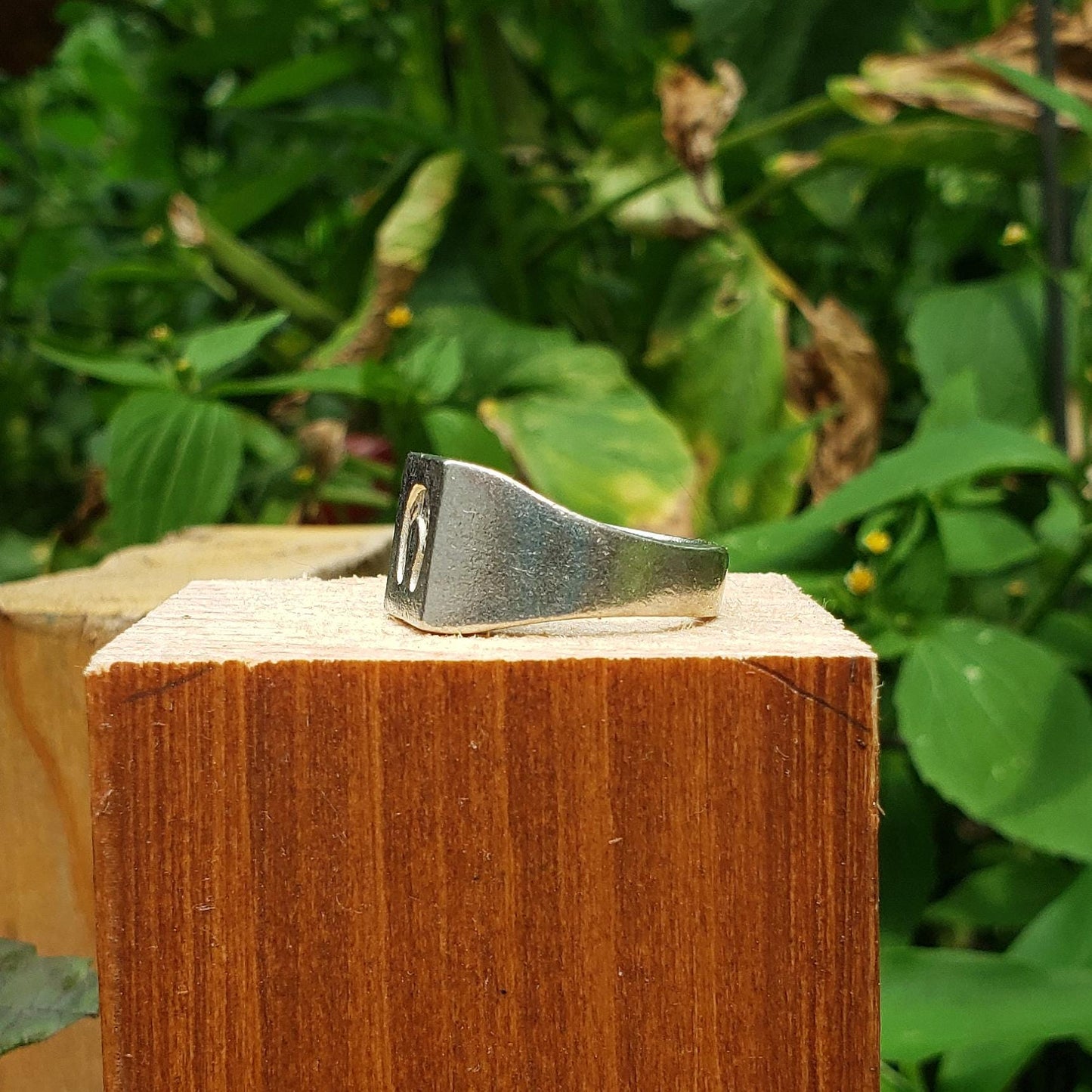 Horseshoe wax seal signet ring