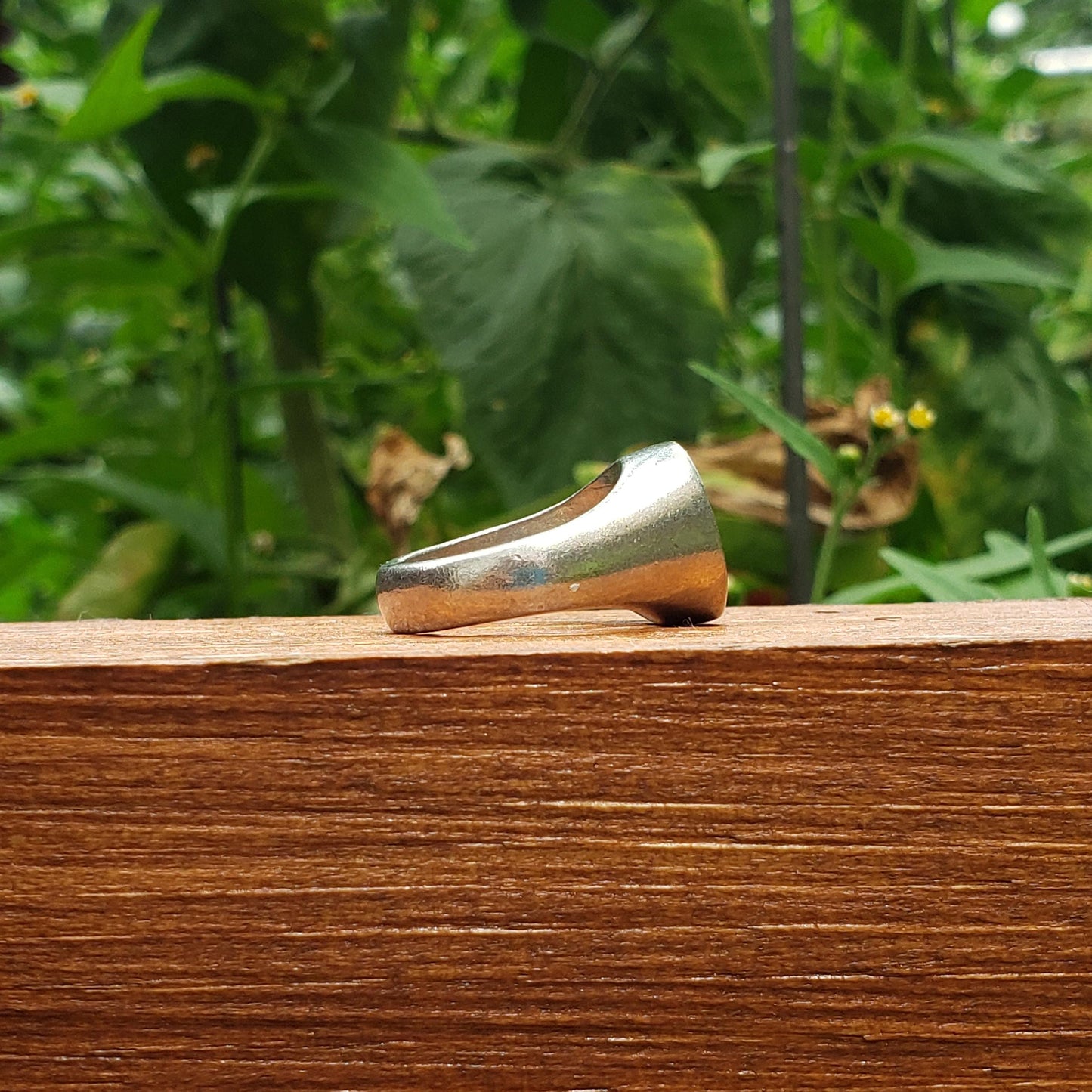 Stethoscope wax seal signet ring