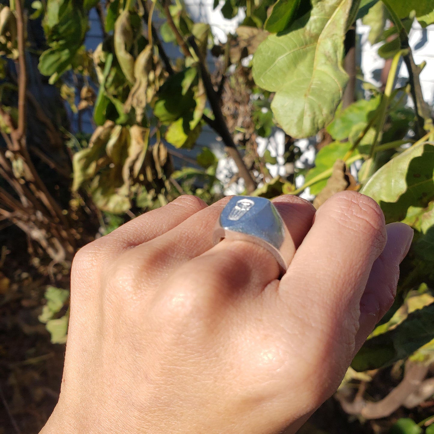 Trash racoon wax seal signet ring