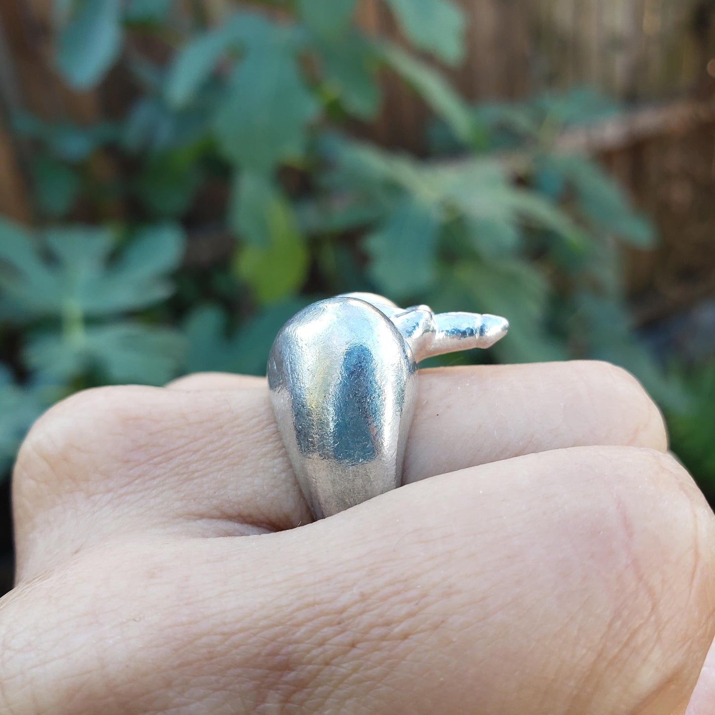 Man butt ring