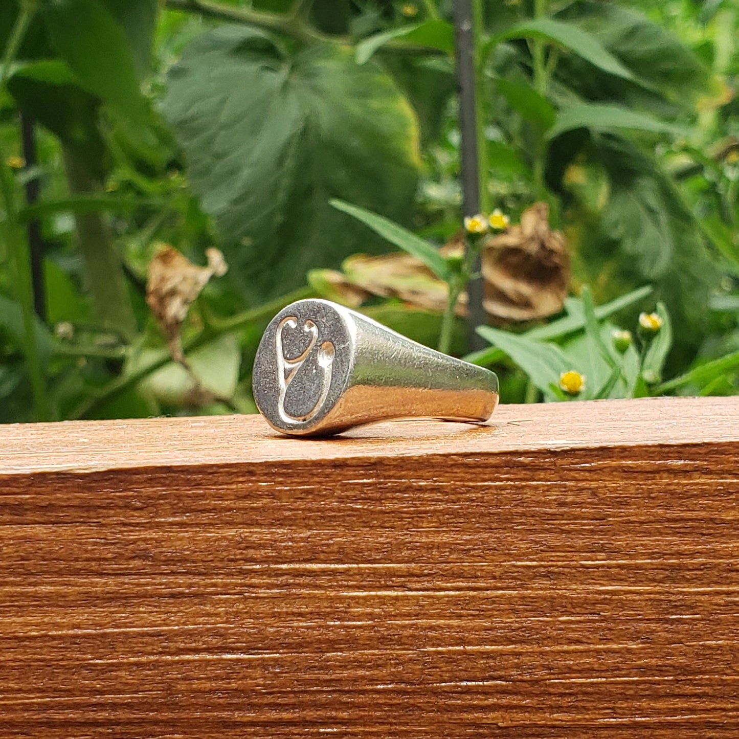 Stethoscope wax seal signet ring