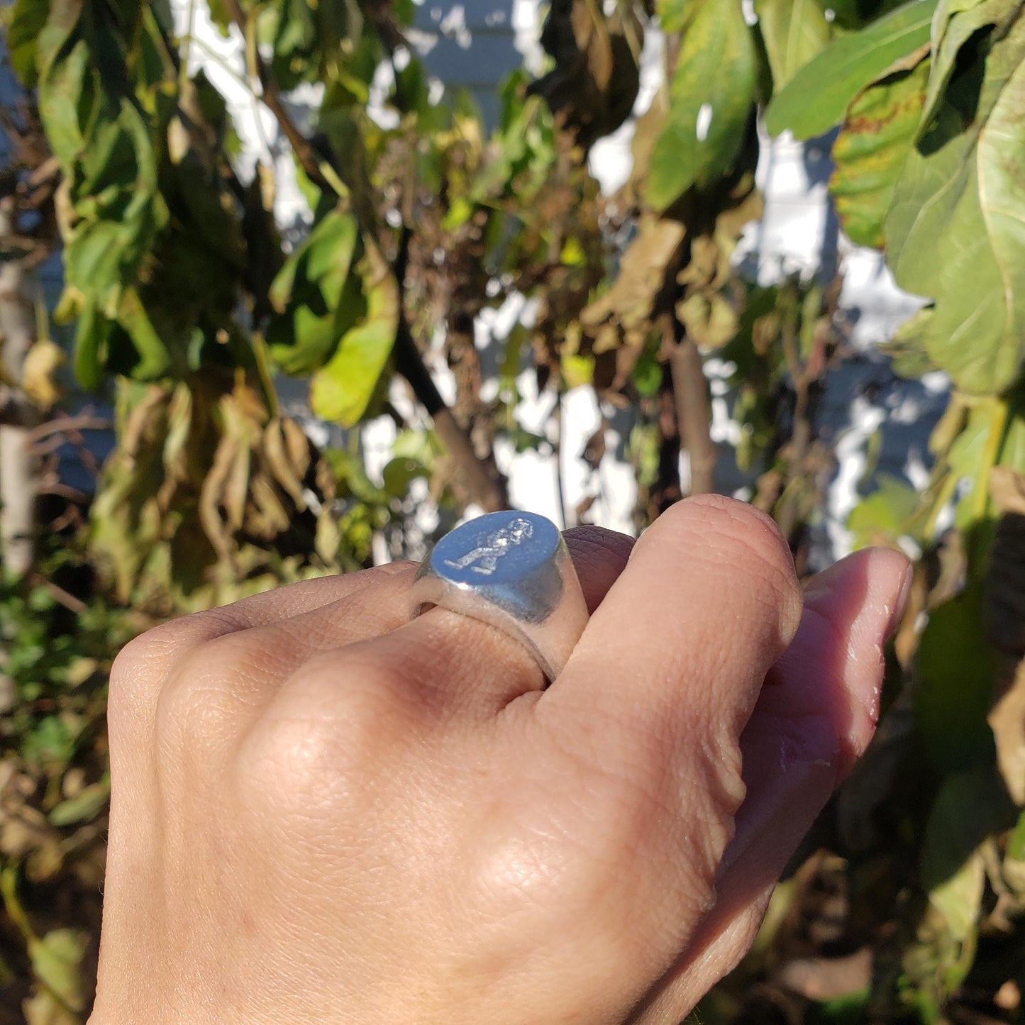 Bagua Zhang wax seal signet ring