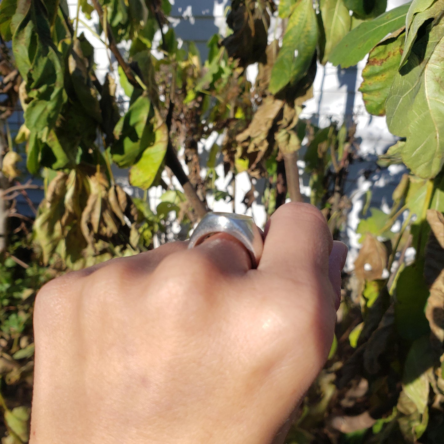 Bagua Zhang wax seal signet ring