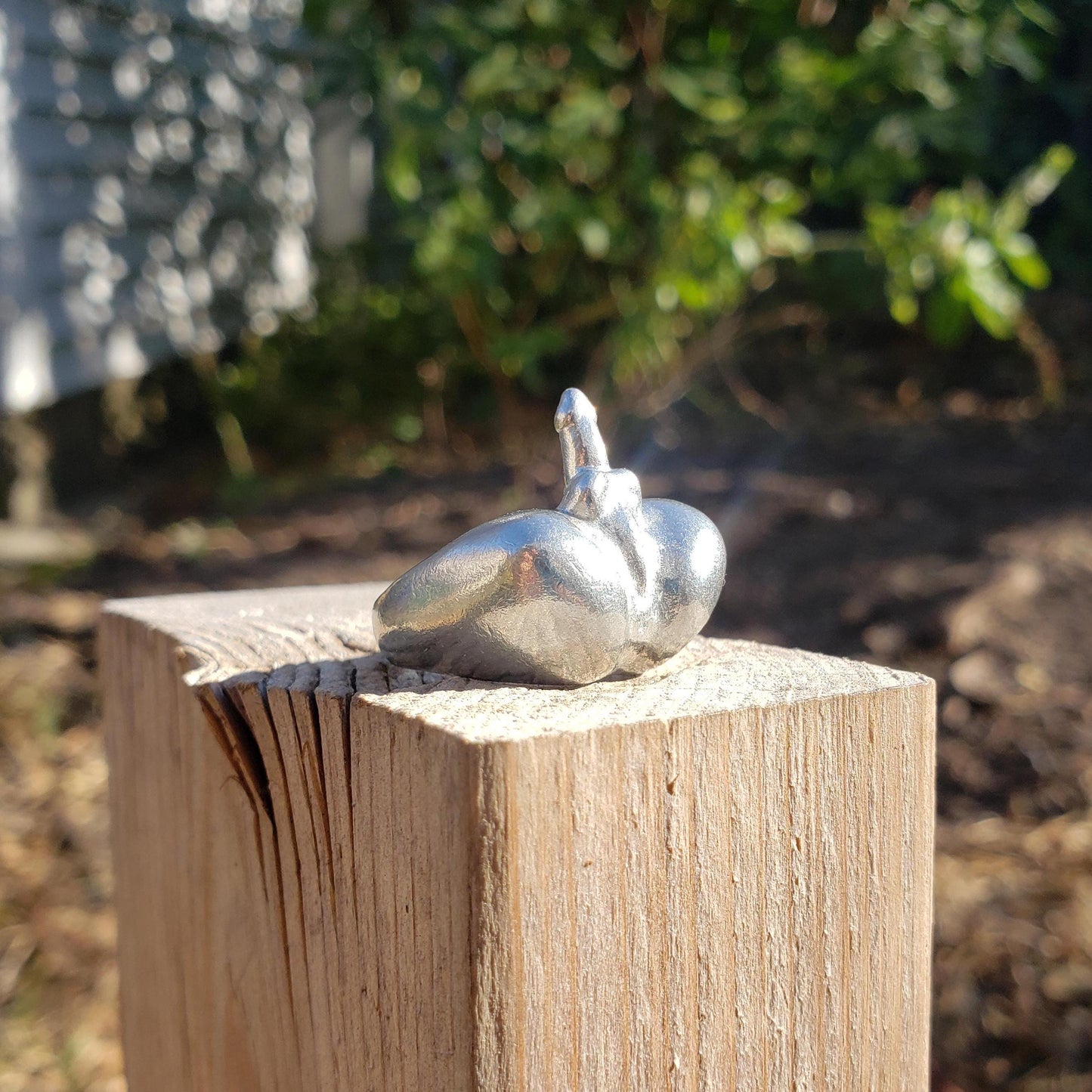 Man butt ring