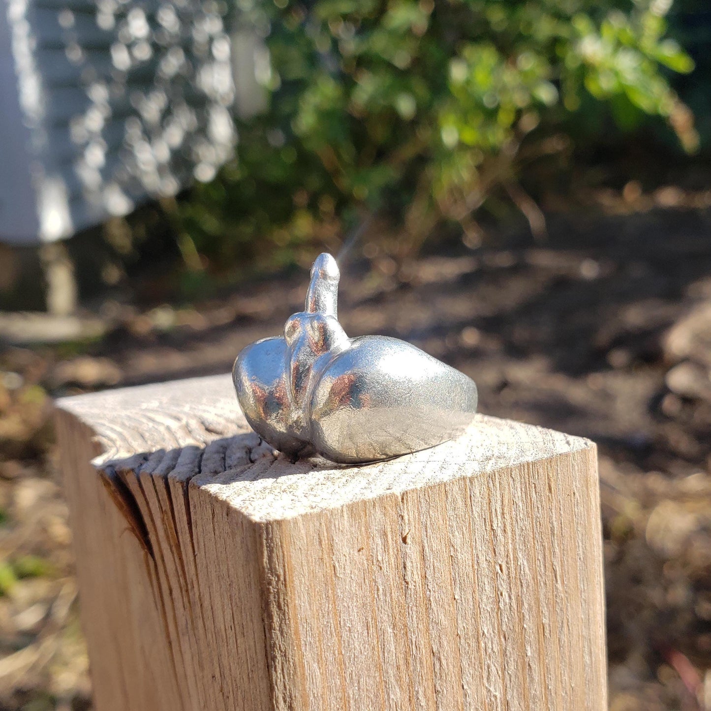 Man butt ring