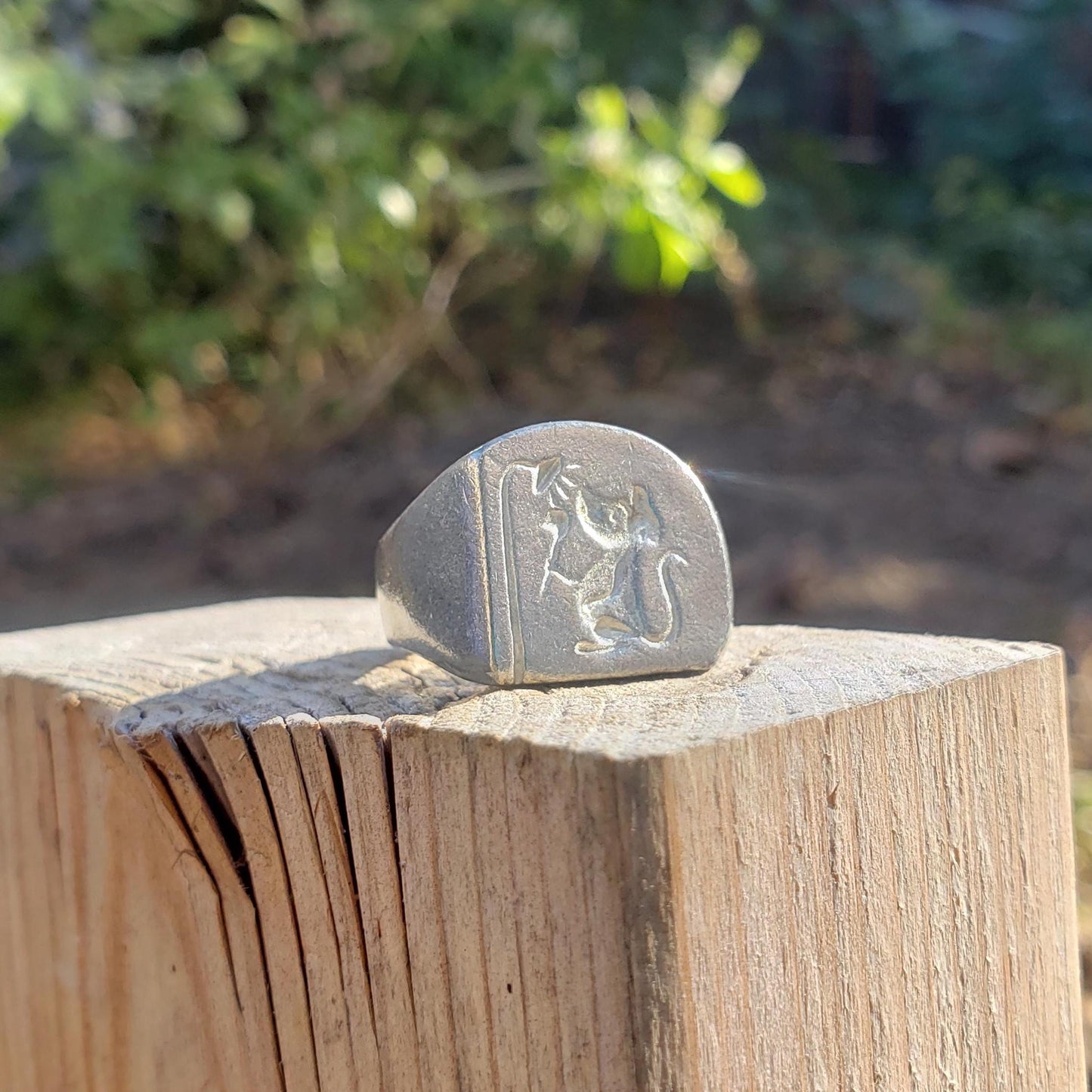 Shower mouse wax seal signet ring