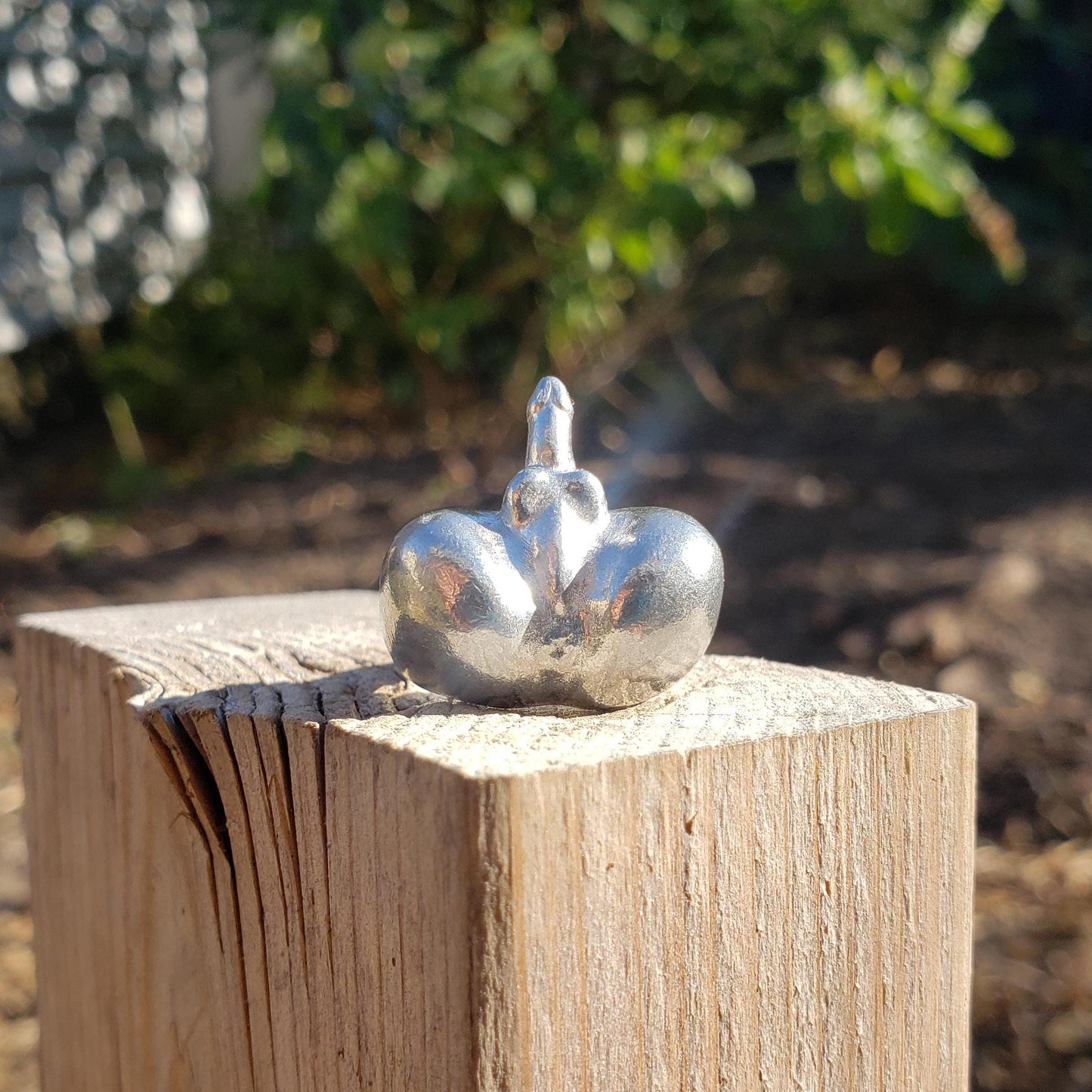 Man butt ring