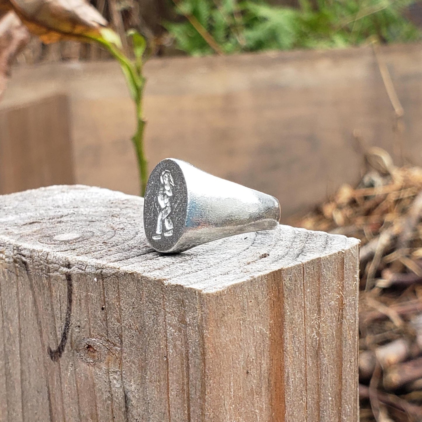 Bagua Zhang wax seal signet ring