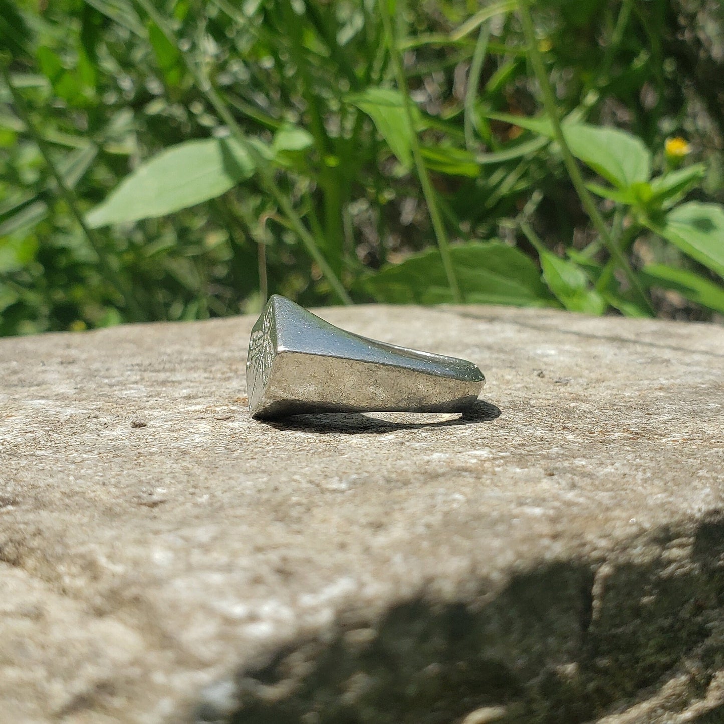 Dragonfly wax seal signet ring