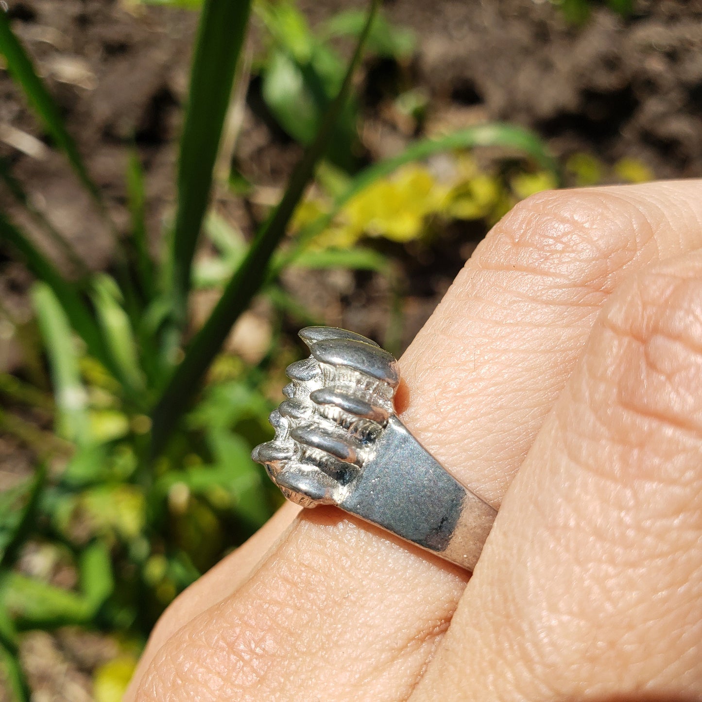 oyster mushroom ring