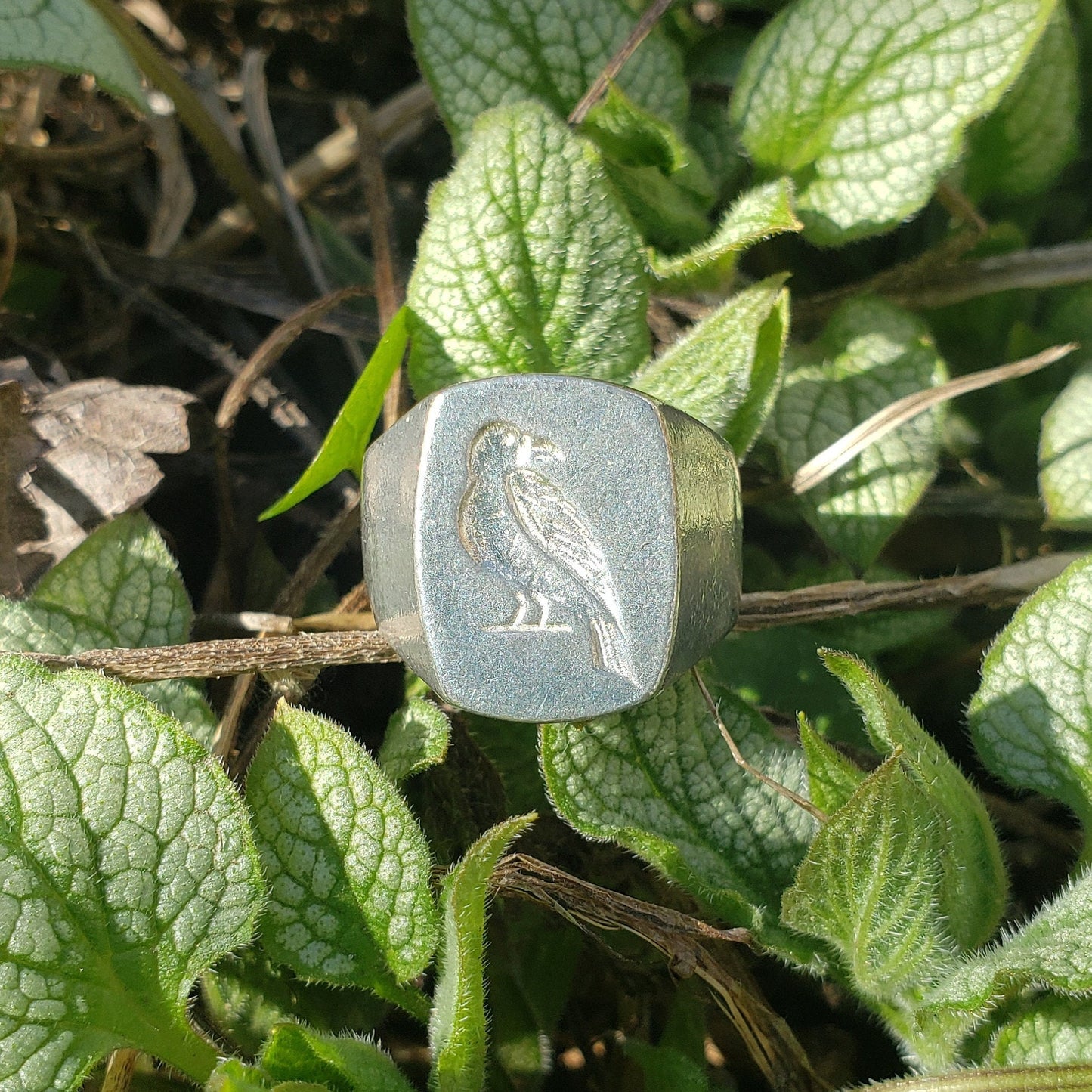 Raven wax seal signet ring