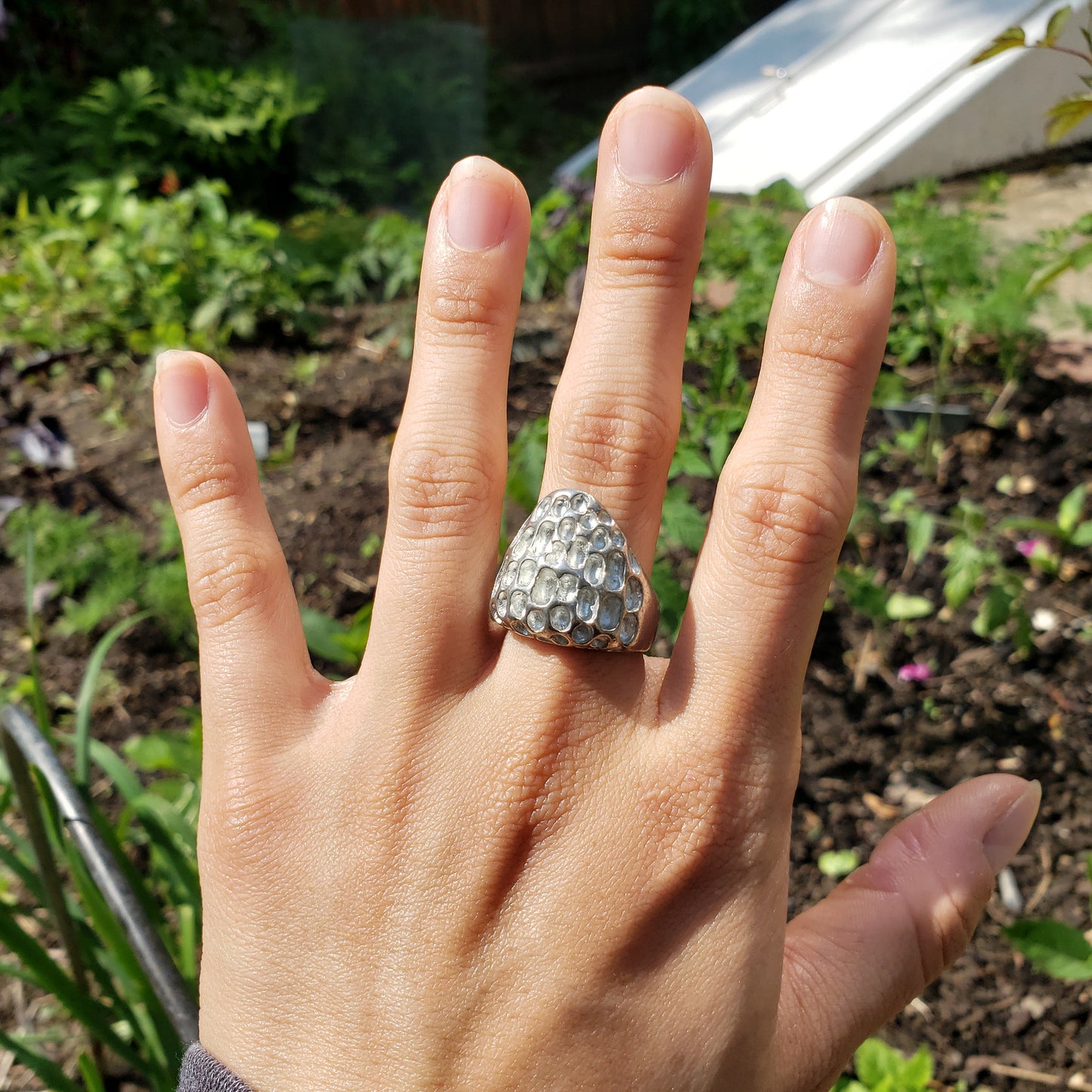 morel ring