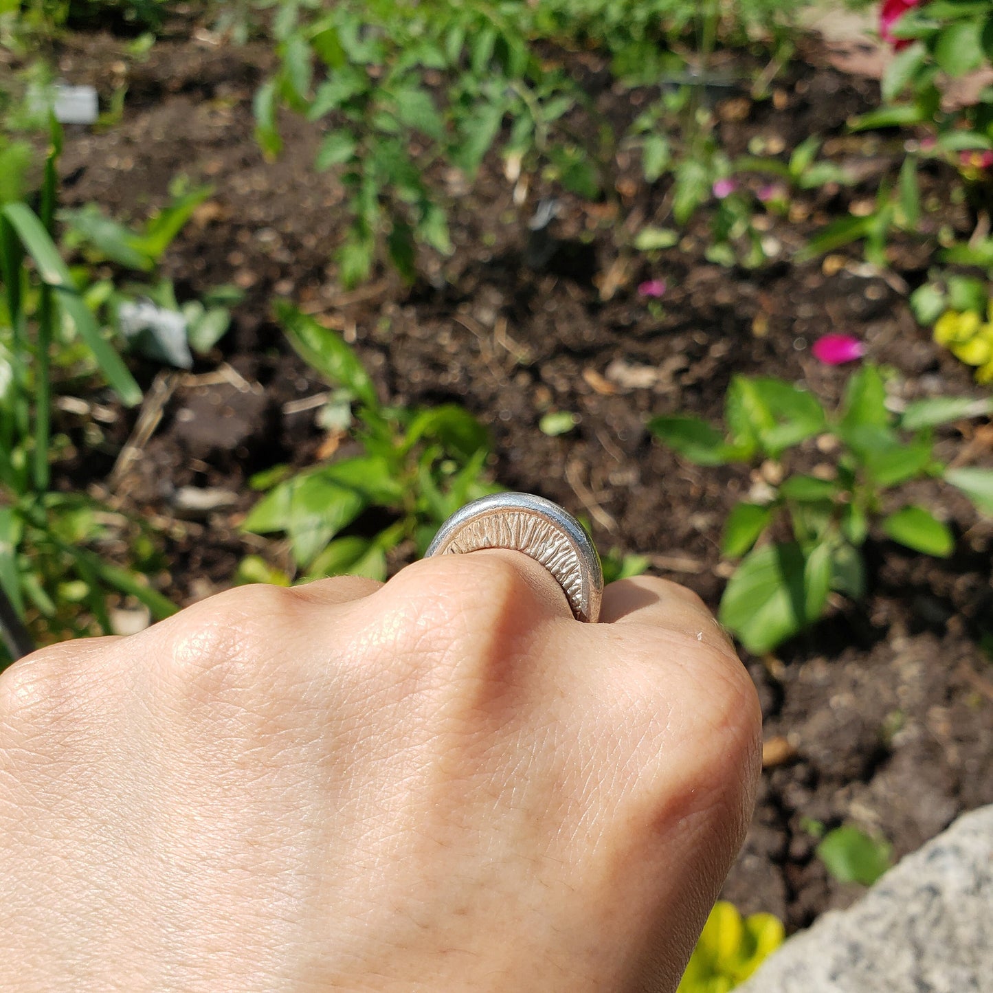 mushroom ring