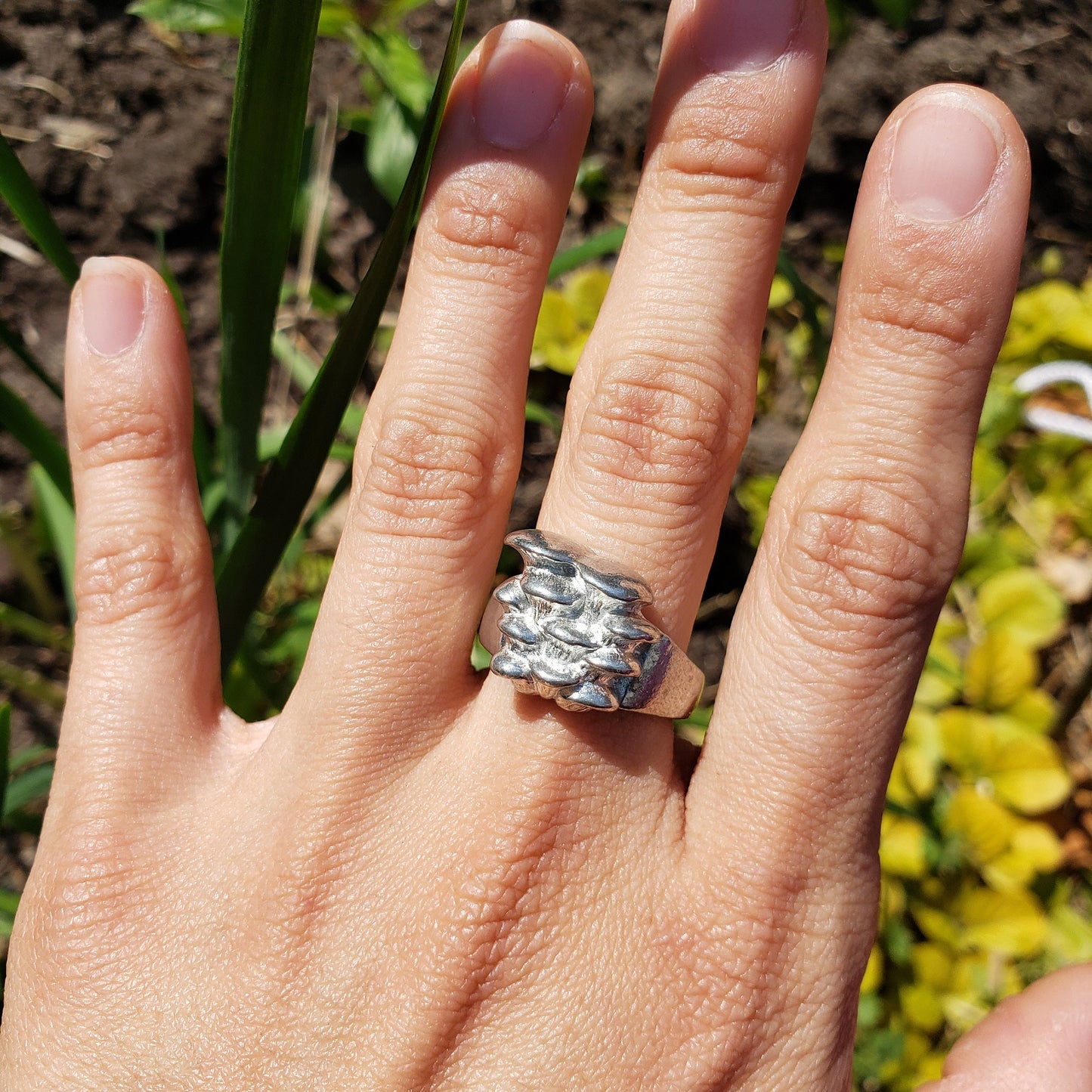 oyster mushroom ring