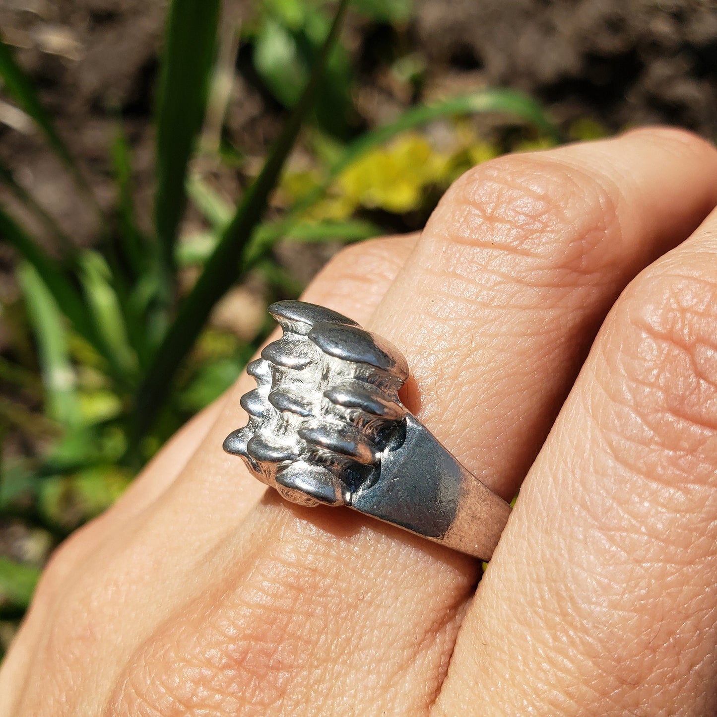 oyster mushroom ring