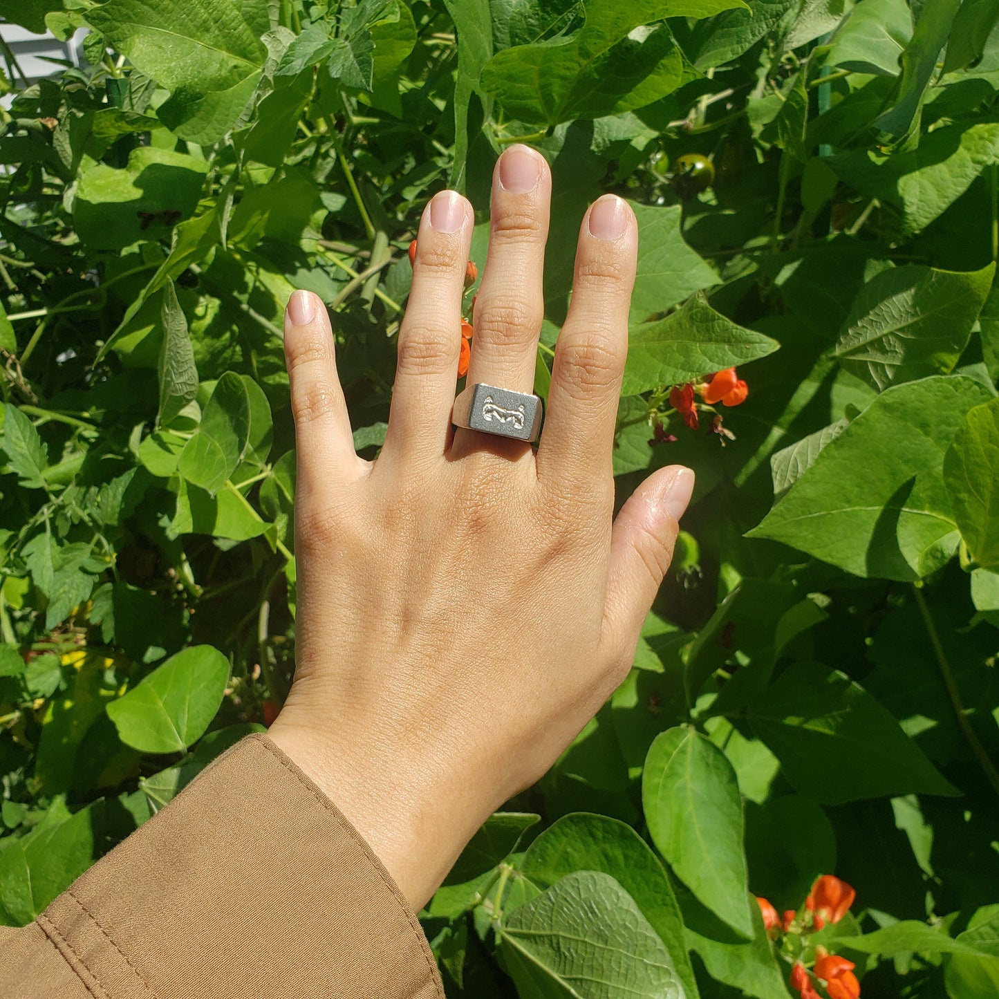 Maide-leisg wax seal signet ring