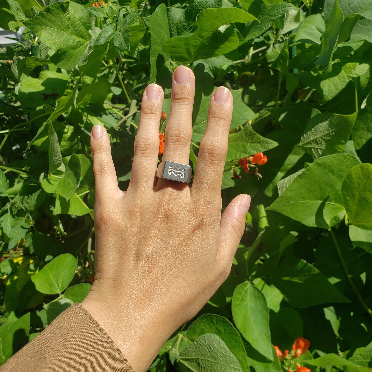 Maide-leisg wax seal signet ring