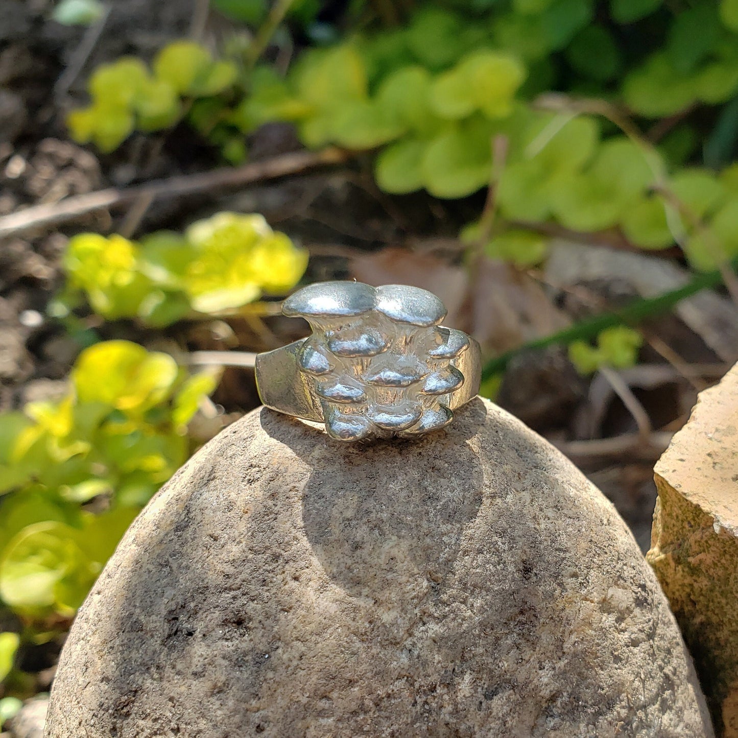 oyster mushroom ring