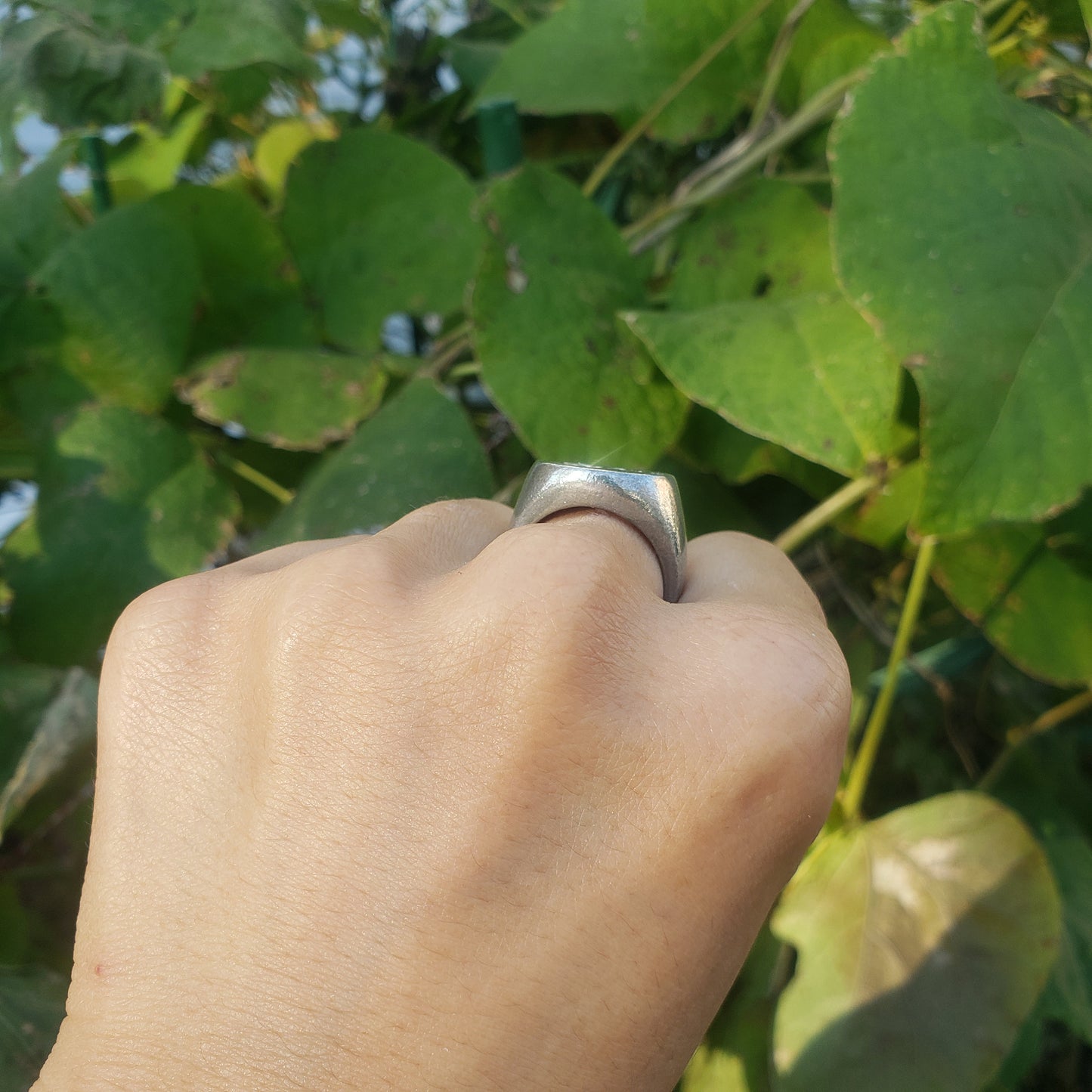 Poison ivy wax seal signet ring