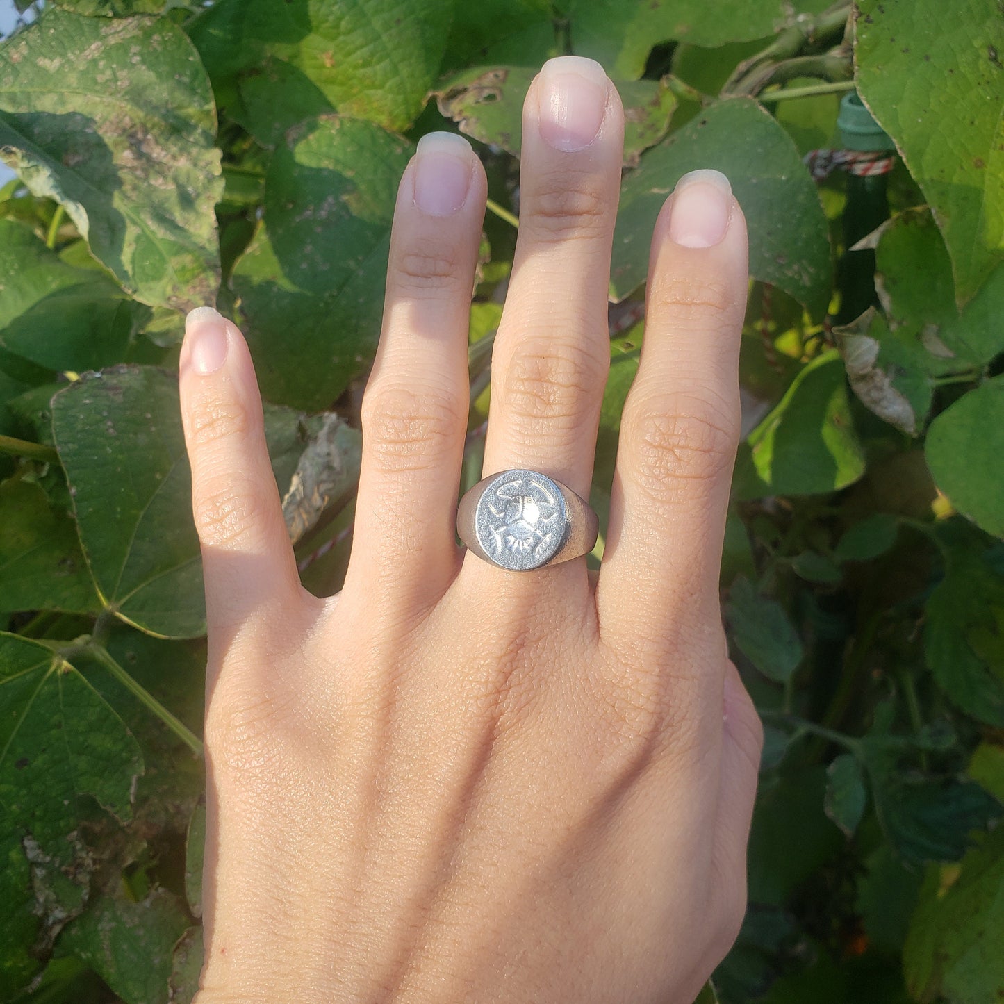 Scarab wax seal signet ring