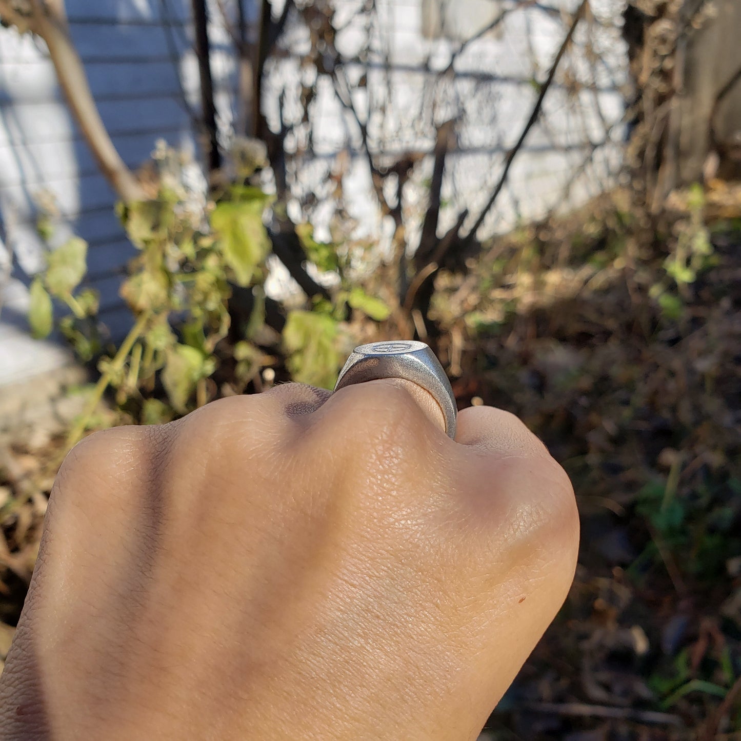 Earth sign wax seal signet ring