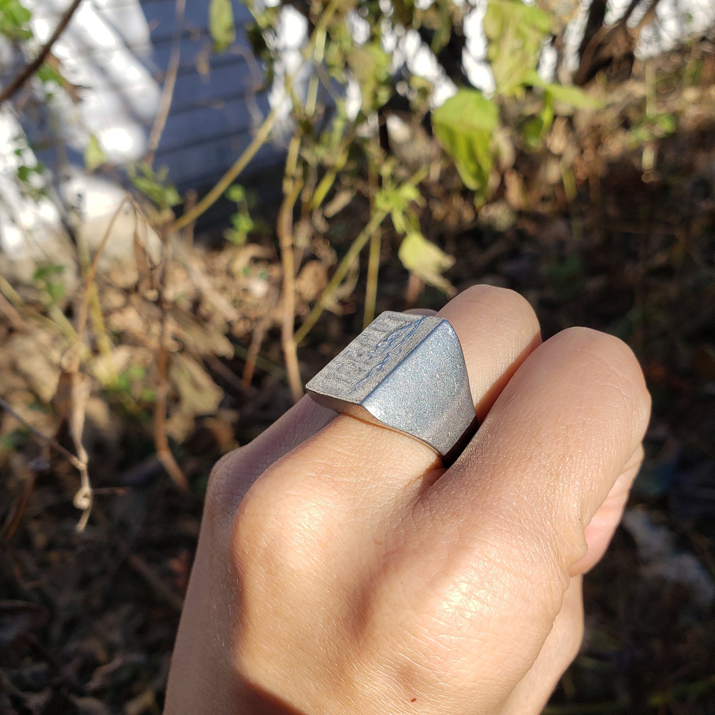 Rapunzel wax seal signet ring