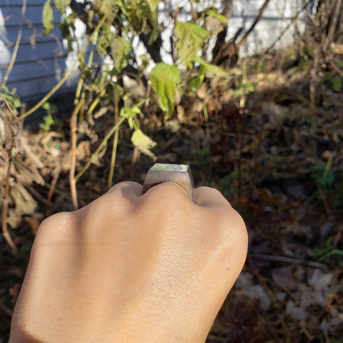 Rapunzel wax seal signet ring