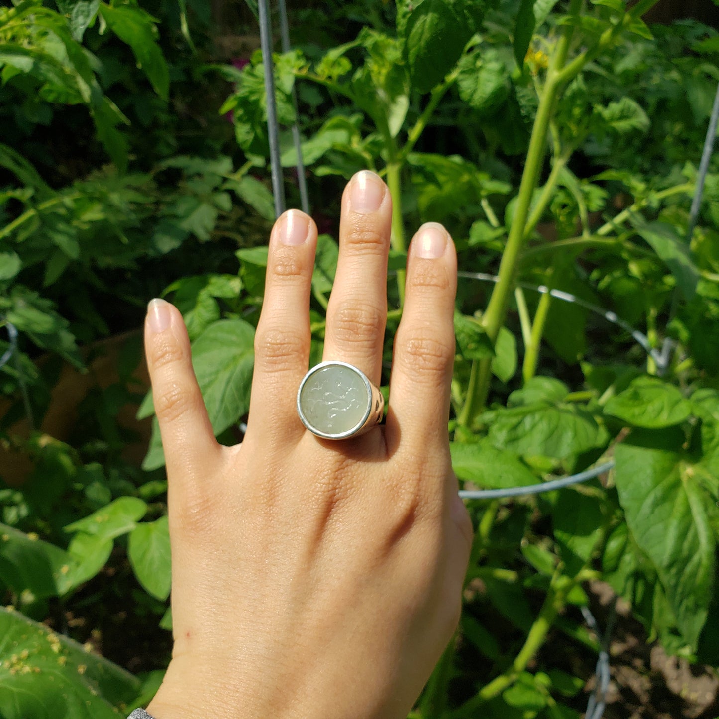 Apple snake intaglio jade silver ring