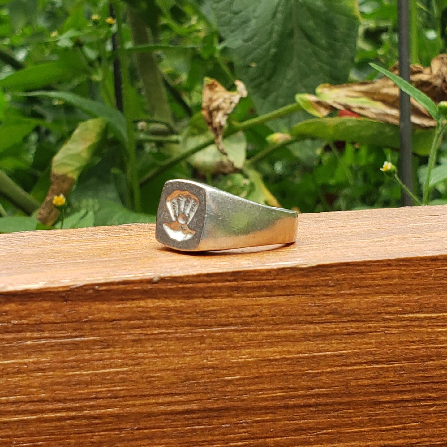 Clam pearl wax seal signet ring