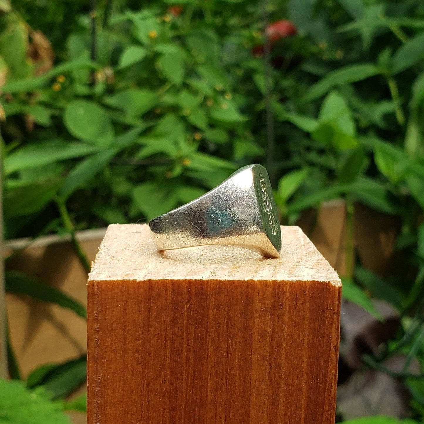 3 racoons in a trench coat wax seal signet ring