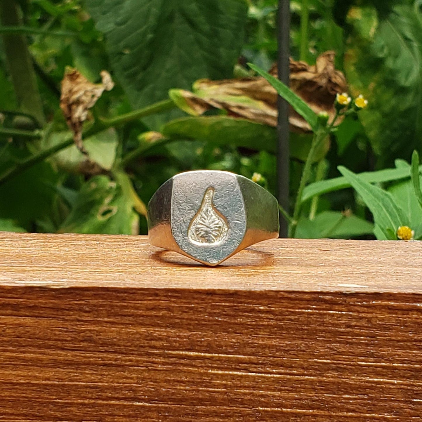 Fig wax seal signet ring