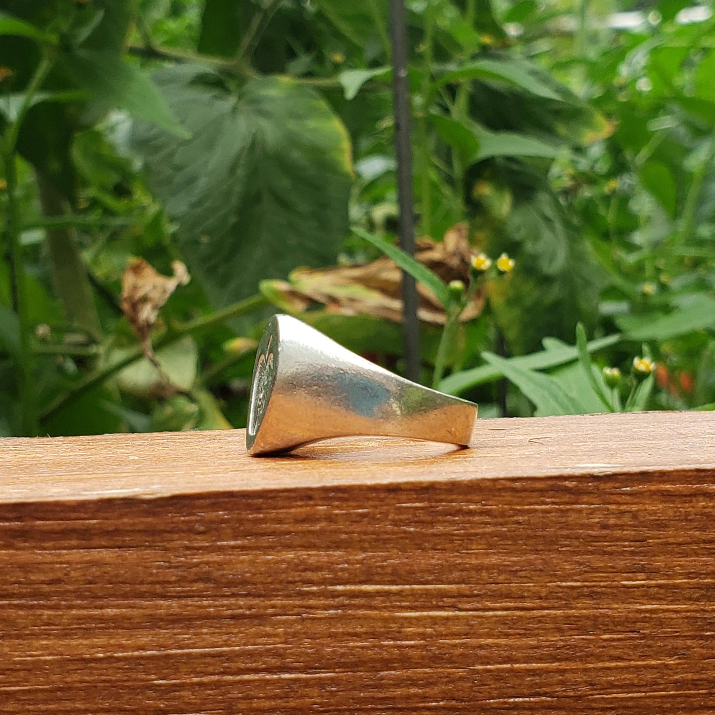 apple half wax seal signet ring