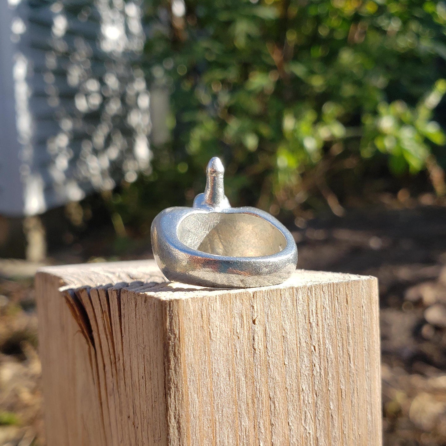 Man butt ring