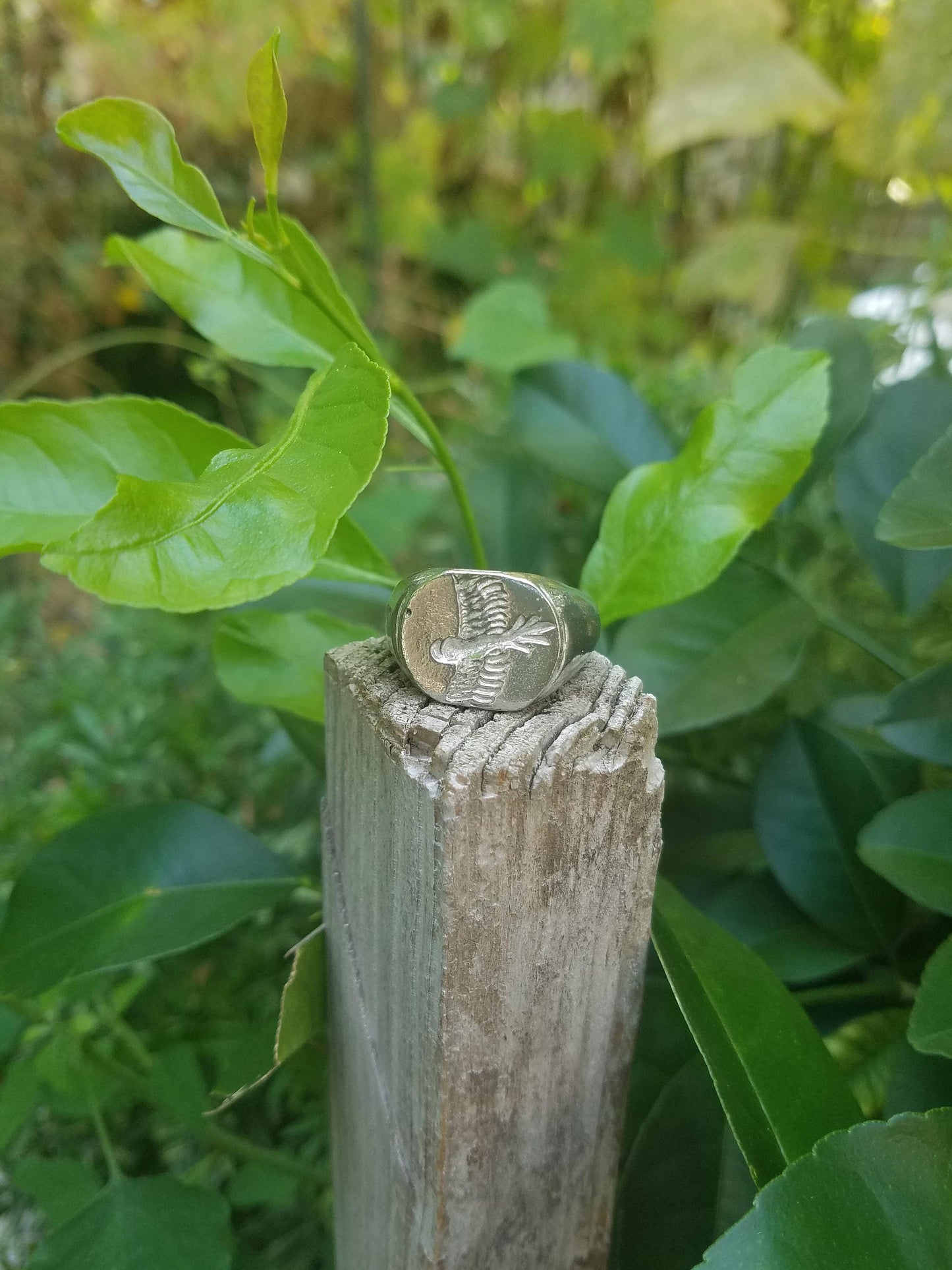 Messenger Parrot wax seal signet ring