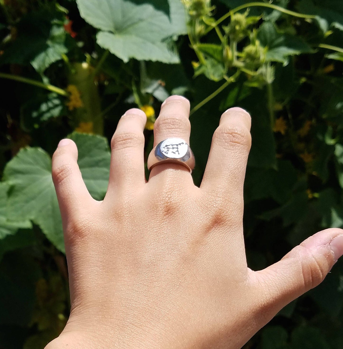 Ursa Major constellation wax seal signet ring