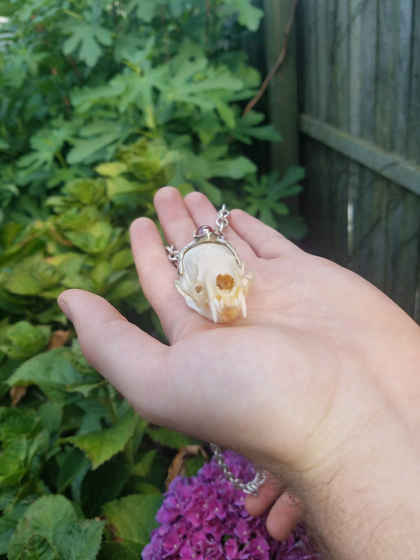 Royal mink skull star sapphire medallion