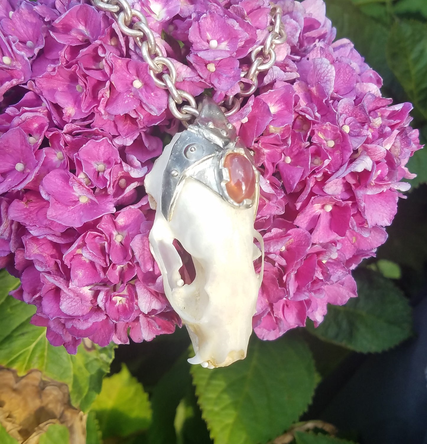 Royal mink skull star sapphire medallion