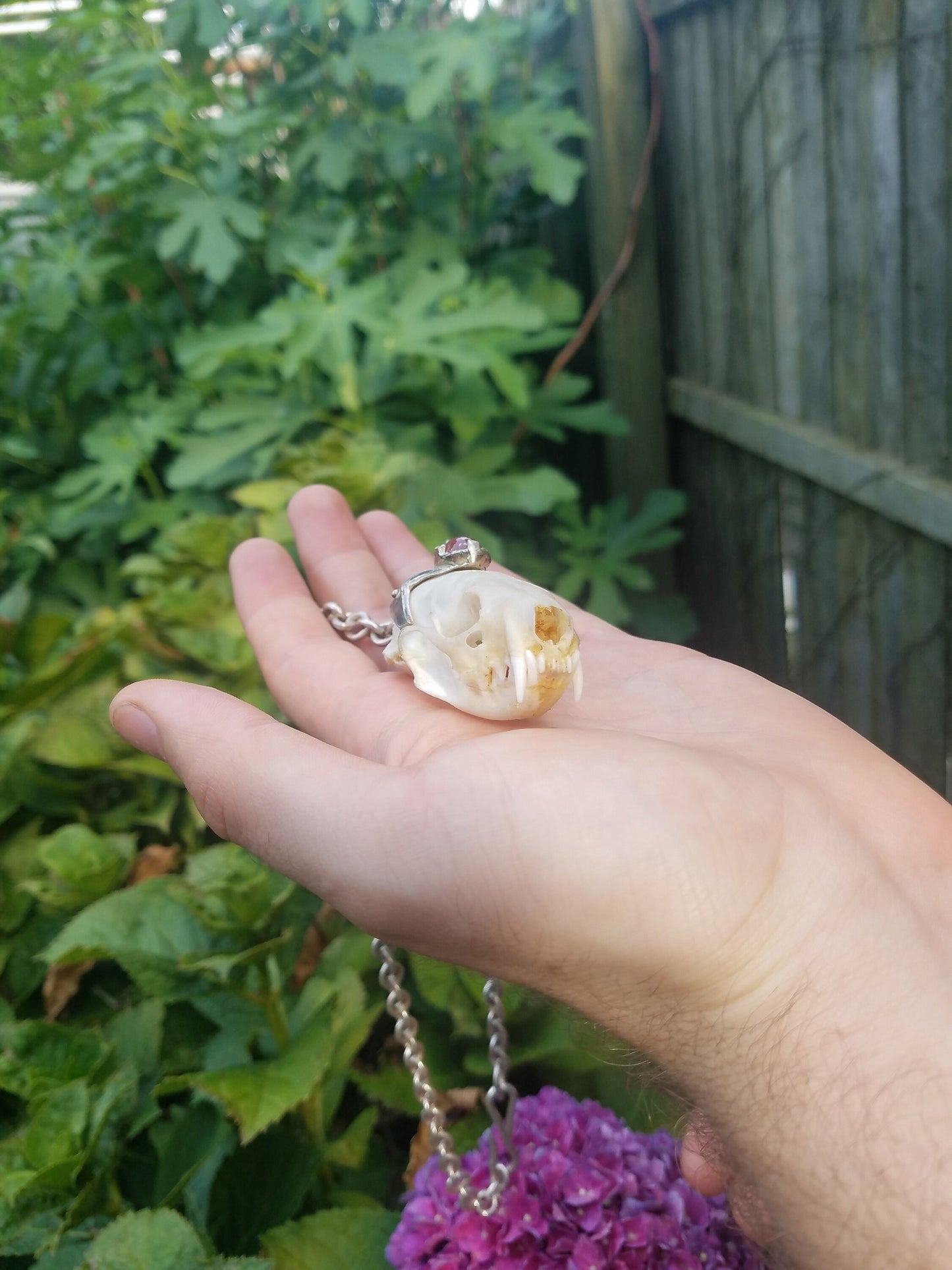 Royal mink skull star sapphire medallion