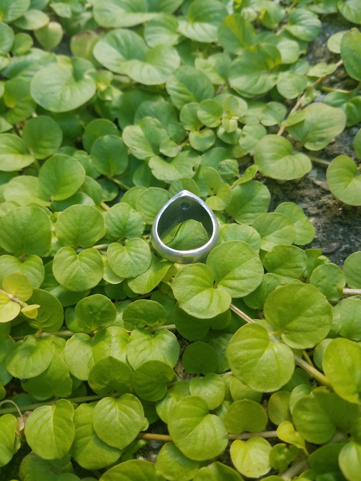 Cushion cut sapphire ring