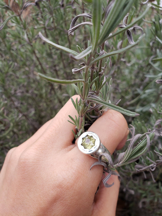 Custom cushion cut mali garnet sterling silver ring