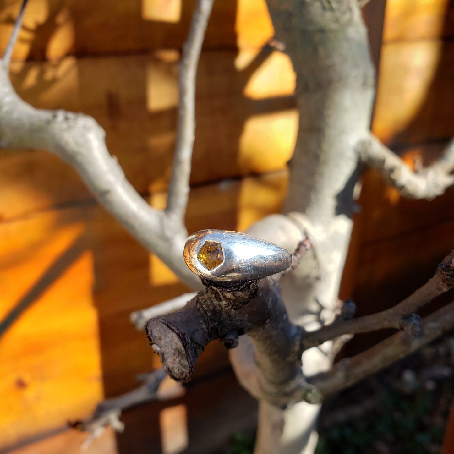 Fantasy bubble cut honey mali garnet silver ring