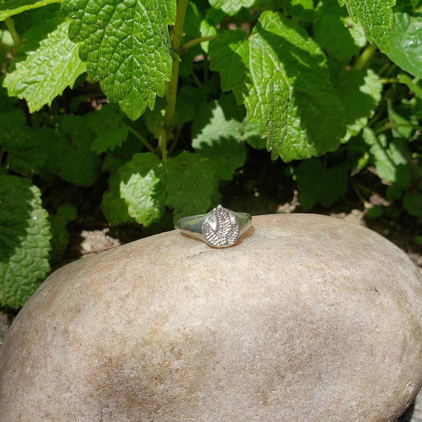 Fire Fern wax seal signet ring